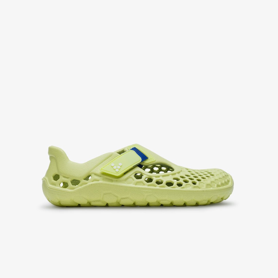 ultra_bloom_ungar_sunny_lime.jpg Ultra Bloom Ungar Sunny Lime - Bild 1